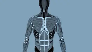 Breakthrough Humanoid Robotics & AI Tech | Quantum Computer Breakthrough