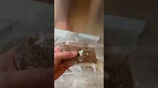 Фасовочный аппарат фасовка сыпучих продуктов