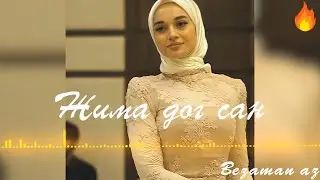 Мадина Домбаева Жима Дог Сан😍Новинка 2022