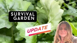 Abundant underground garden