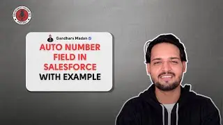 Auto Number Field In @salesforce With Example #SalesforceTestingGuy #salesforce