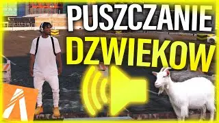JAK PUSZCZAĆ DZWIĘKI I MUZYKĘ W FIVEM