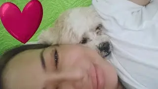 POODLE 🐩 BOW 🙇GOOD VIBES