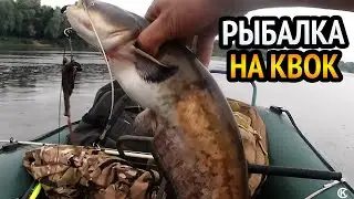 РЫБАЛКА НА СОМА С КВОКОМ!!! РЕЗКАЯ СМЕНА ПОГОДЫ УСТАНОВИЛА СВОИ ПРАВИЛА! СОМ НА КВОК!!!
