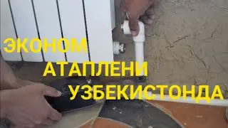 Бир трубали атаплени. Bir trubali atapleni.