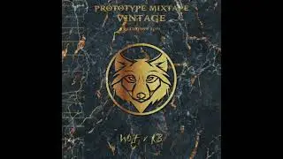 Expérience - Wolf & Kb