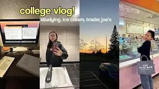 College Week In My Life (studying, food, trader joes)