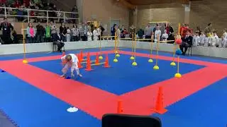 MČR Beginner 2019