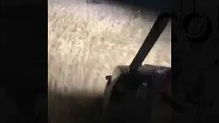 300 Blackout Pest Control (HOG) 🐗