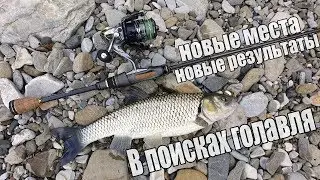 В поисках голавля. Малая река Кавказа