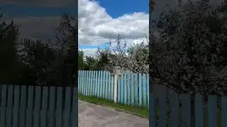 Дорогами Беларуси ❤️ ЛЮБУШАНЫ, Березинский р-н 