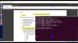 PKI Task 1 Become a Certificate Authority