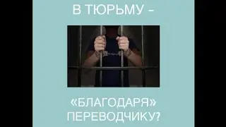 В тюрьму - «благодаря» переводчику?