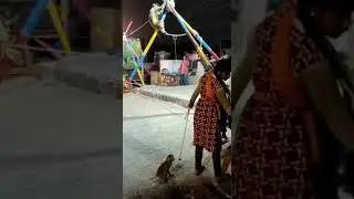 Cruelty case - illegal monkey charming and abuse