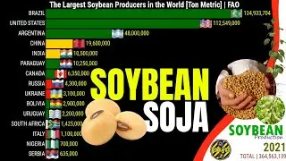 THE LARGEST SOYBEAN PRODUCERS IN THE WORLD, EUROPE, ASIA, AMERICA'S AND AFRICA