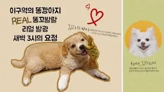 새벽3시의 요정 김라떼의 폭풍성장기 (feat.김리치씨 피곤하다)