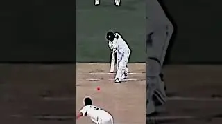 Babar Azam Best Cover Drive #shorts #cricket #babarazam