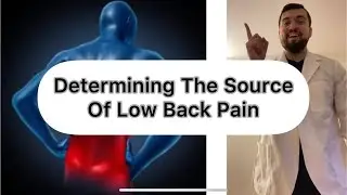 Determining The SOURCE Of Low Back Pain