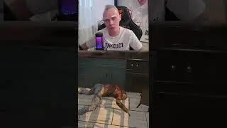 Уборщики и Убийства: Загадки Crime Scene Cleaner!