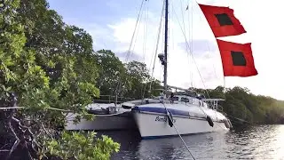 MANGROVE Forests - Simply the Best Sailboat HURRICANE Shelter 2020