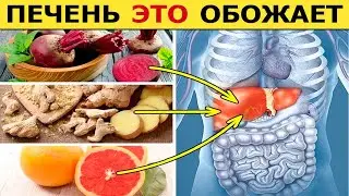 Самые Полезные продукты для Печени! Это надо Знать!