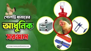 পোল্ট্রি খামারের আধুনিক সরঞ্জাম