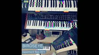 Birdseye - "Basement Files 001" Synth Sample Pack - Loop Kit