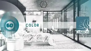 60. Color.