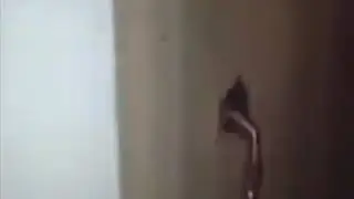 Смешно