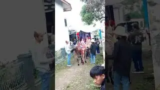 Kuda renggong #ngarak#
