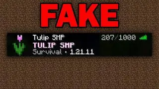 I Made a FAKE Minecraft Server to Prank My Friend...
