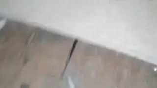 Untitled video