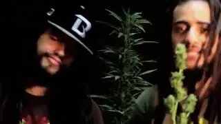 Armalo - Dr  Norrys Ft  Ras Neftali - Inity Proyect