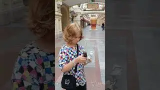 26 июля 2024 г.