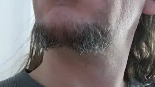 Buy my beard on ebay