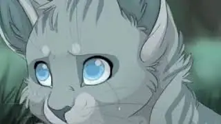 24 декабря 2020 г.