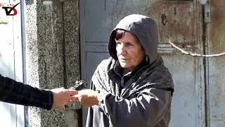 Кола изгоря, други две са частично обгорели снощи в Добрич