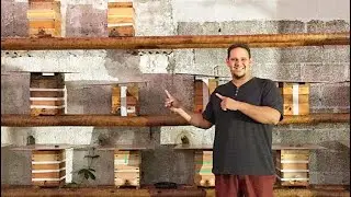 COMO ALIMENTAR ABELHAS SEM FERRÃO