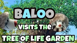 Baloo visits the Tree of Life Garden | Animal Kingdom | Walt Disney World
