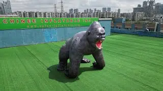 Go Big: Custom Gorilla Shaped Inflatable Cartoon for Events! 🦍🎈🎉 Chinee Inflatables Cartoon2-153