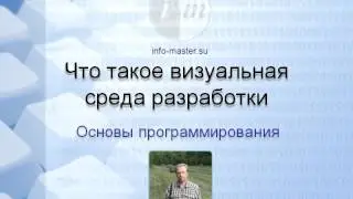 Что такое визуальная среда разработки