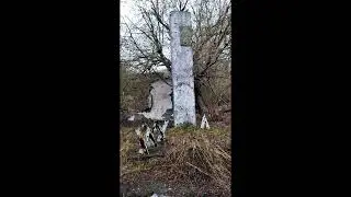 Хожу по лесу и рассказываю о планах