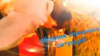 сборник смешных ситуаций