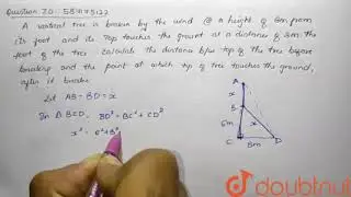 A vertical tree is broken by the wind at a height of 6 m from its foot a  | Class 10 MATH | Doubtnut