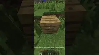 Minecraft Moment 😂 (Noob Version)
