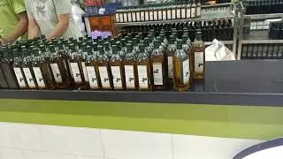 معصرة زيت الزيتون فيرجينيا