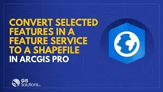 ArcGIS Pro - Convert selected features from a Feature Service to a Shapefile