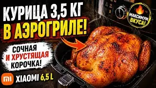 Запихнул курицу 3,5 кг в Аэрогриль  Xiaomi 6, 5 L 