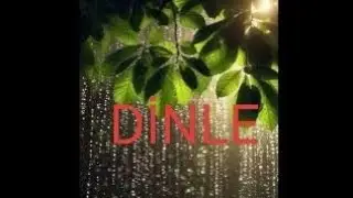 Yapraktan Süzülen Yağmur Damlası (Güzel Bir Şarkı)