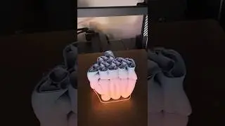 Ultimate Desk Decoration